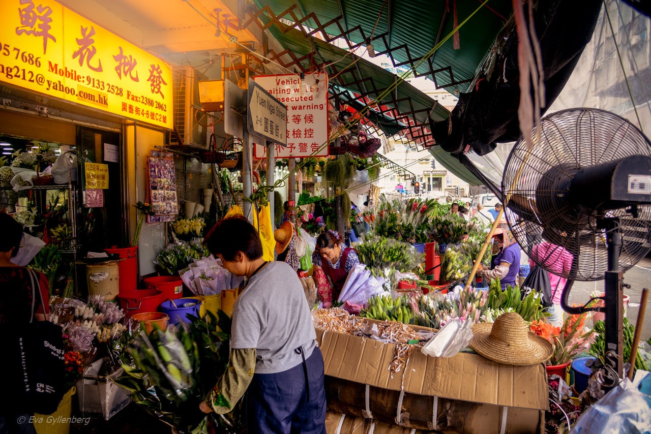 Blomstermarknaden i Hongkong