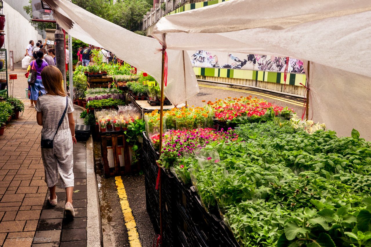 Blomstermarknaden i Hongkong