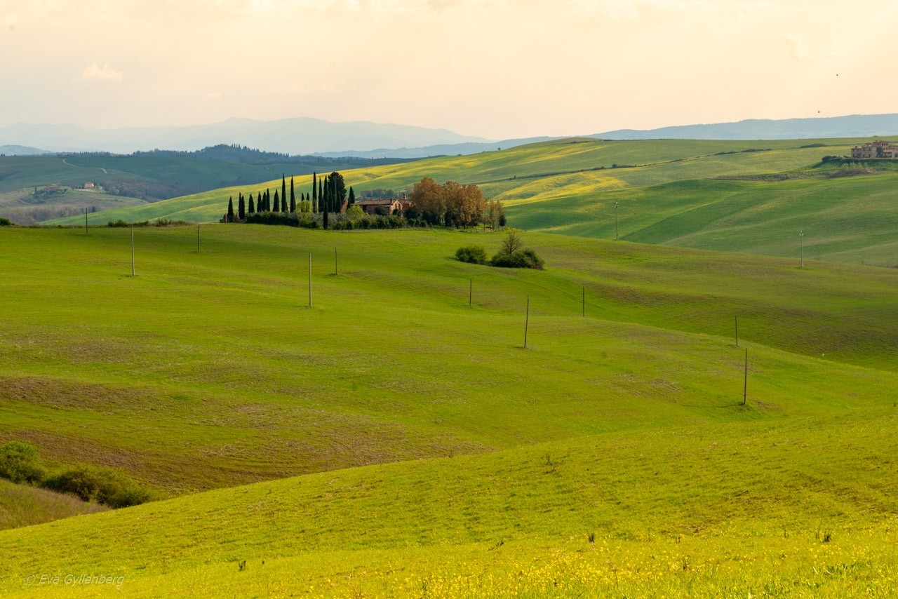 Toscana