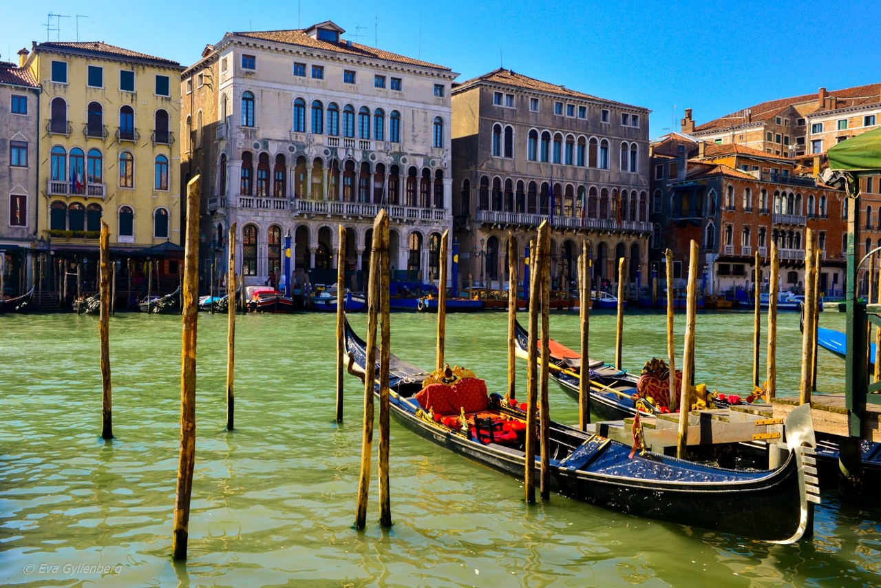 Gondoler på Grande Canal i Venedig