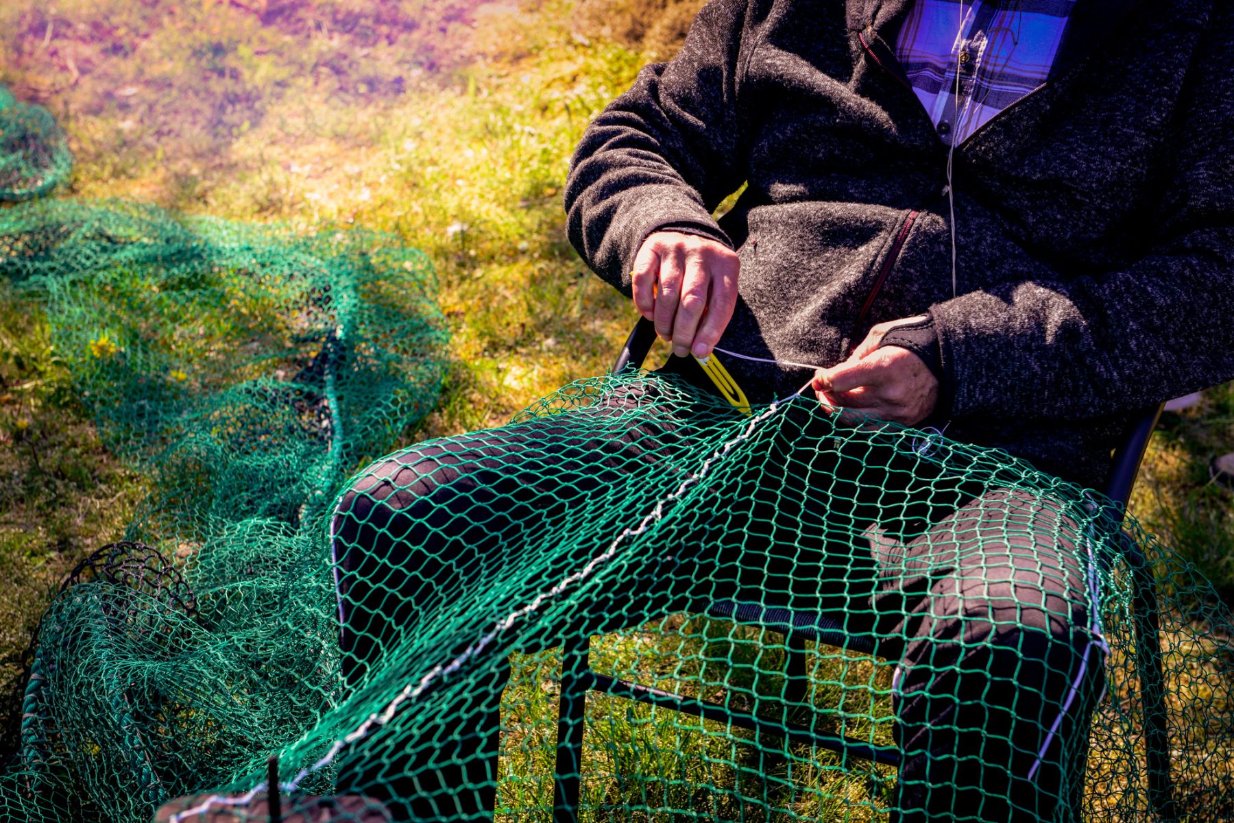 Eel fishing in Skåne