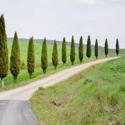 Bila i Italien - Toscana