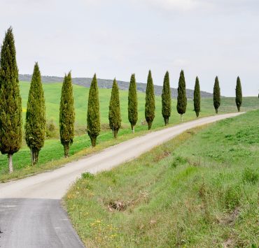 Bila i Italien - Toscana