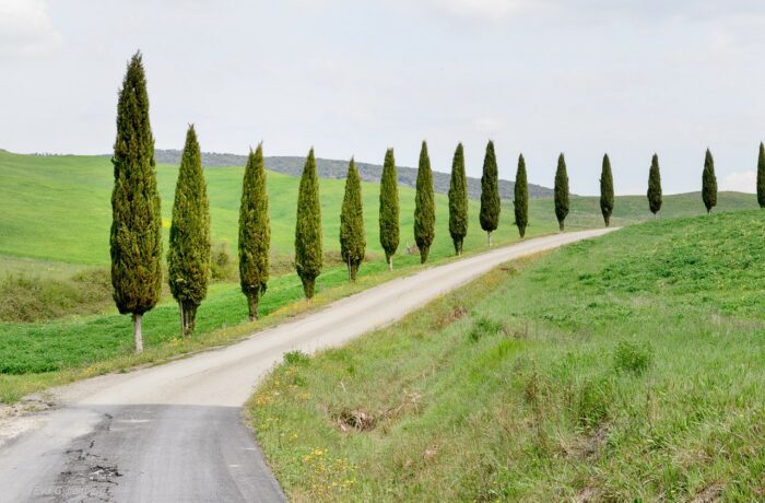 Bila i Italien - Toscana