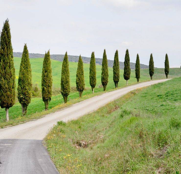 Bila i Italien - Toscana