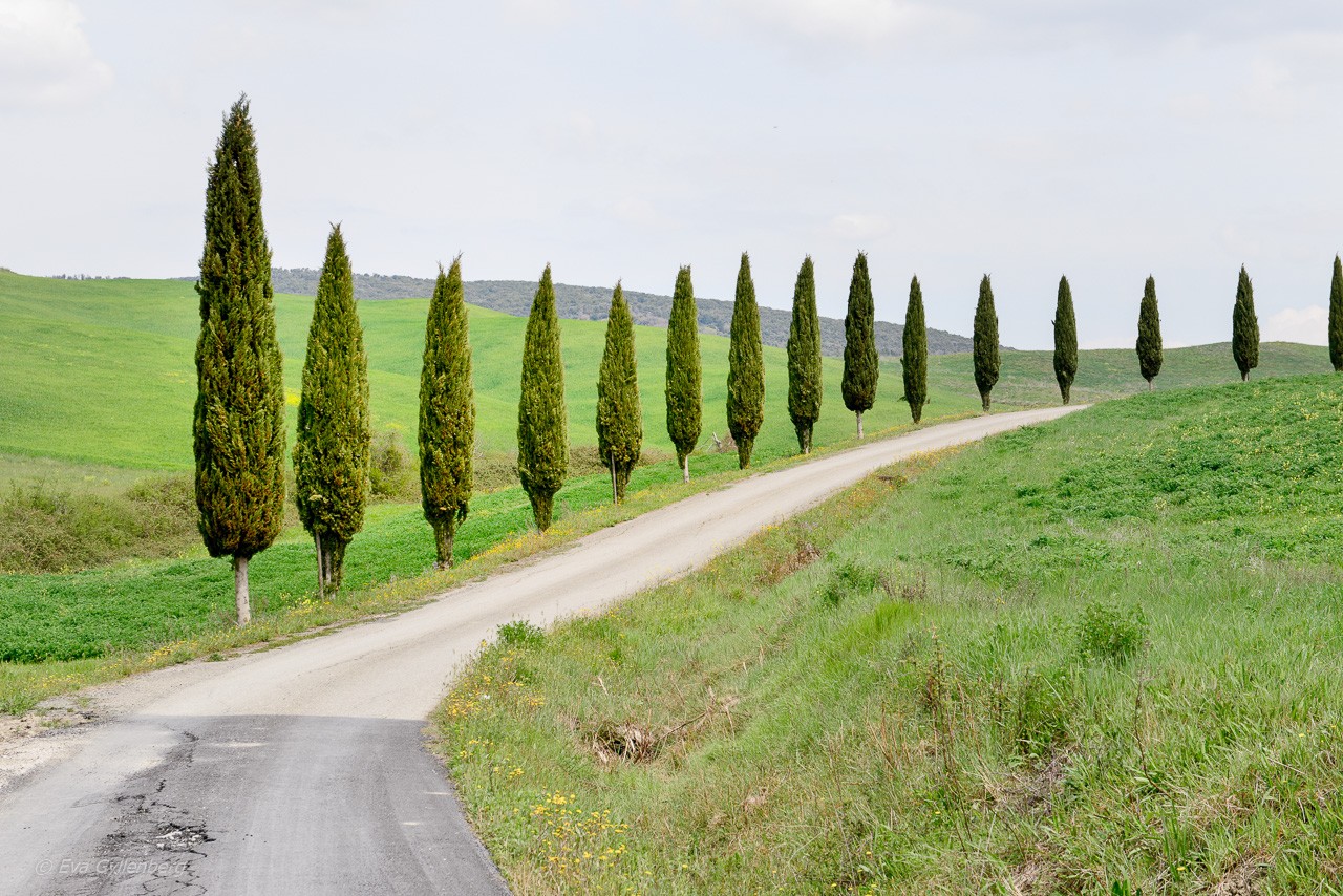 Bila i Italien - Toscana