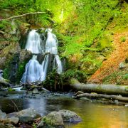 Forsakars naturreservat