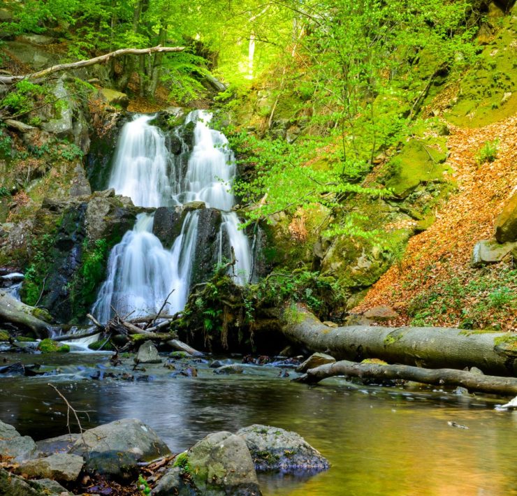 Forsakars naturreservat