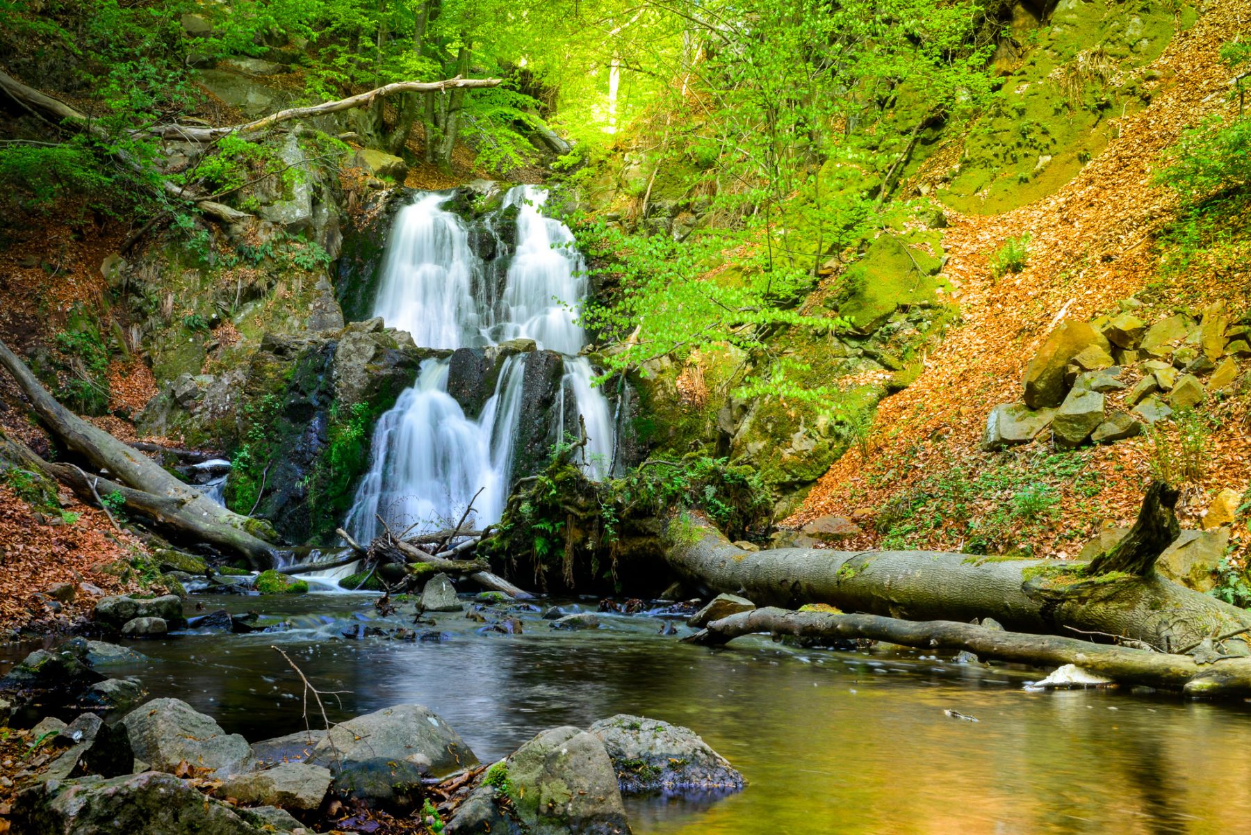 Forsakar nature reserve