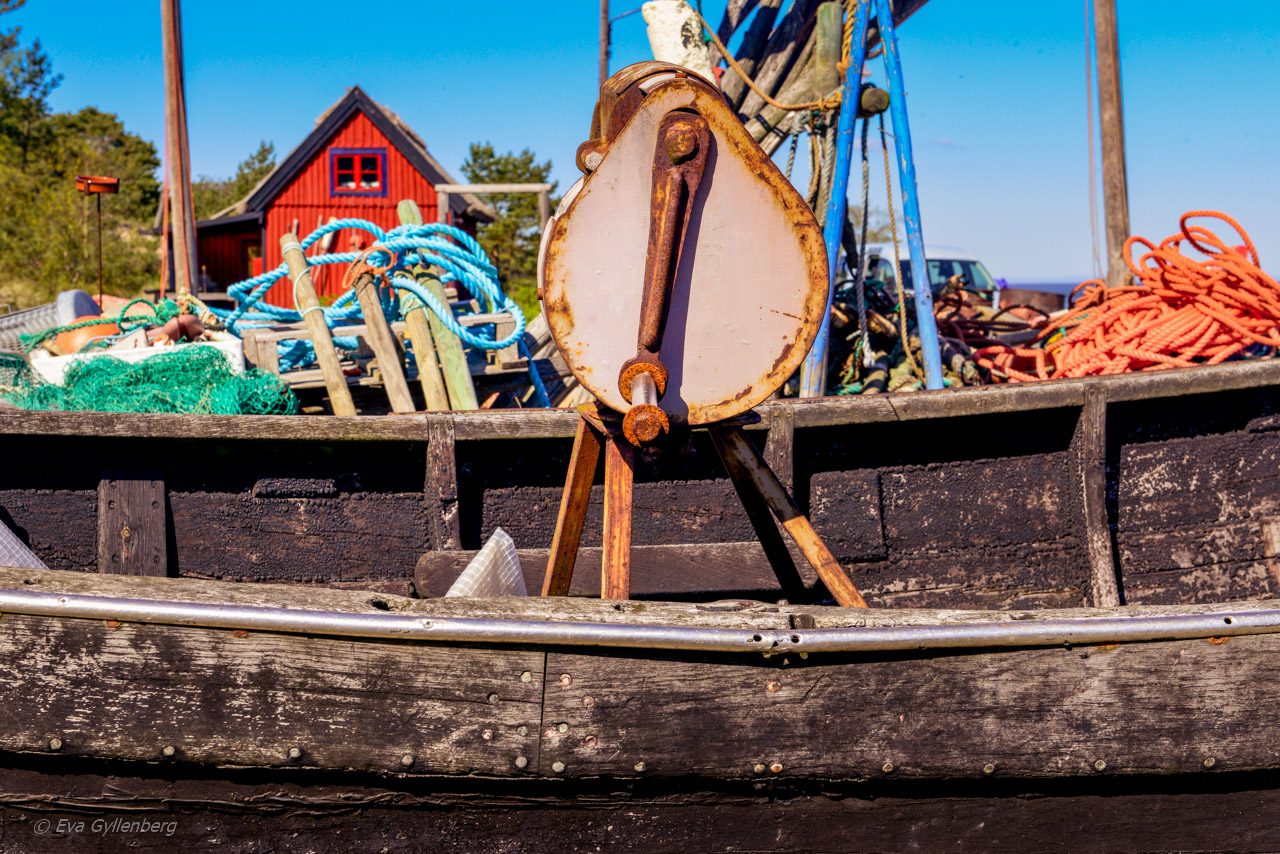 Ålfiske i Skåne