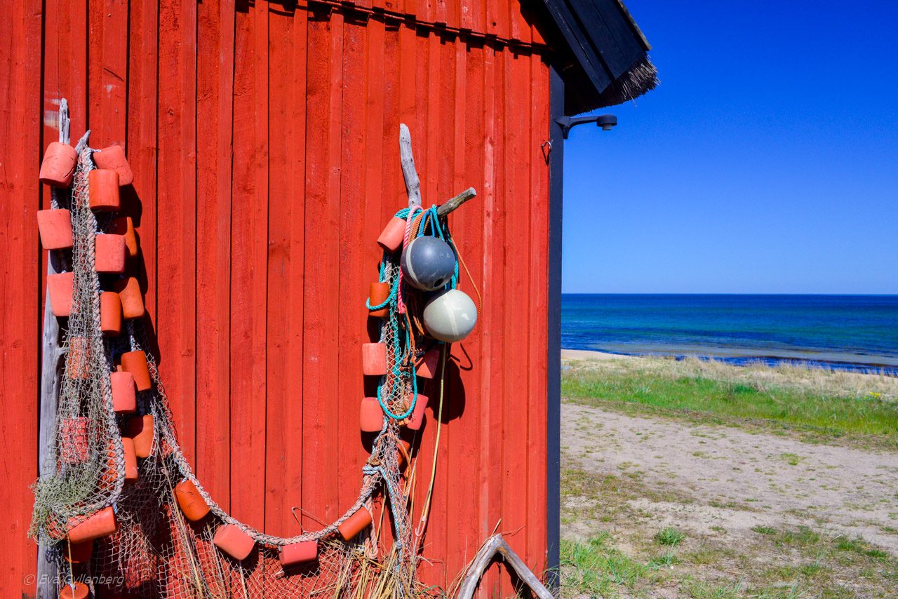 Ålfiske i Skåne