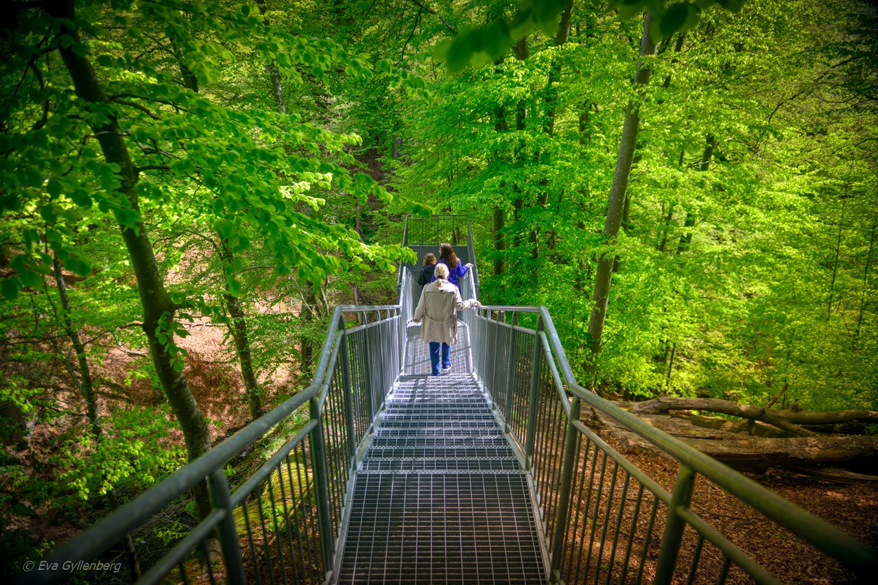 Forsakars naturreservat