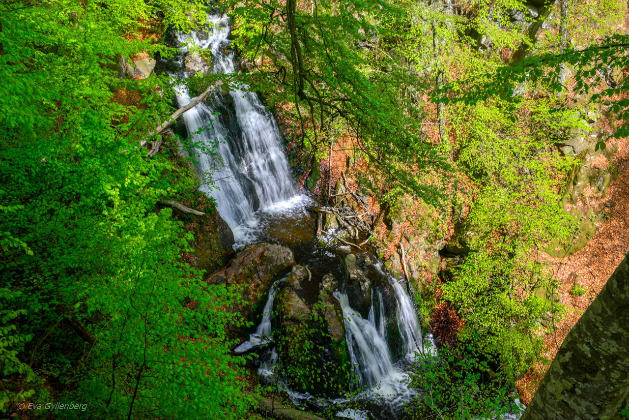 Forsakars naturreservat