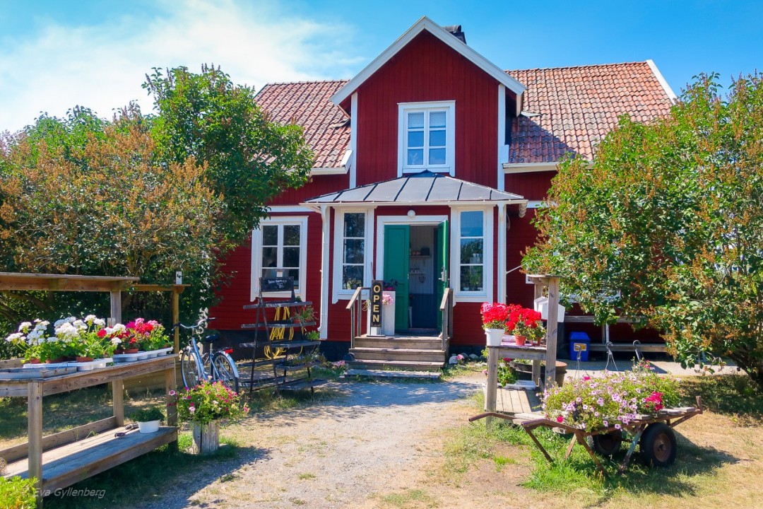 Hovgården