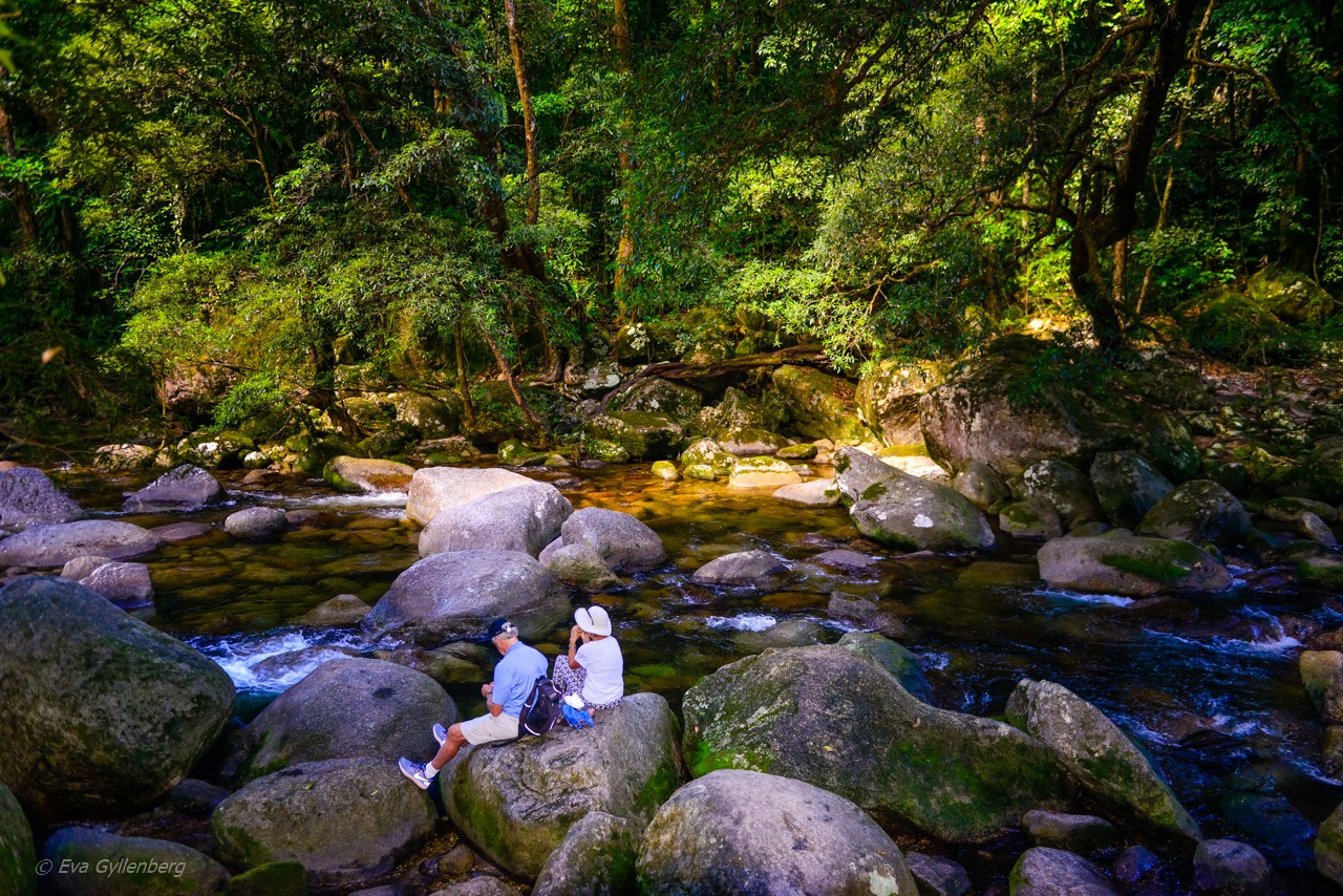 Mossman Gorge - Queensland - Australien