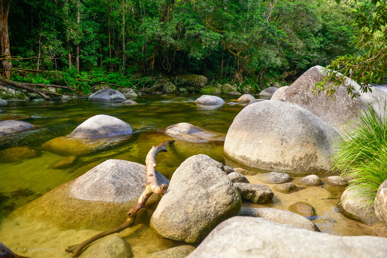 Mossman Gorge - Queensland - Australien