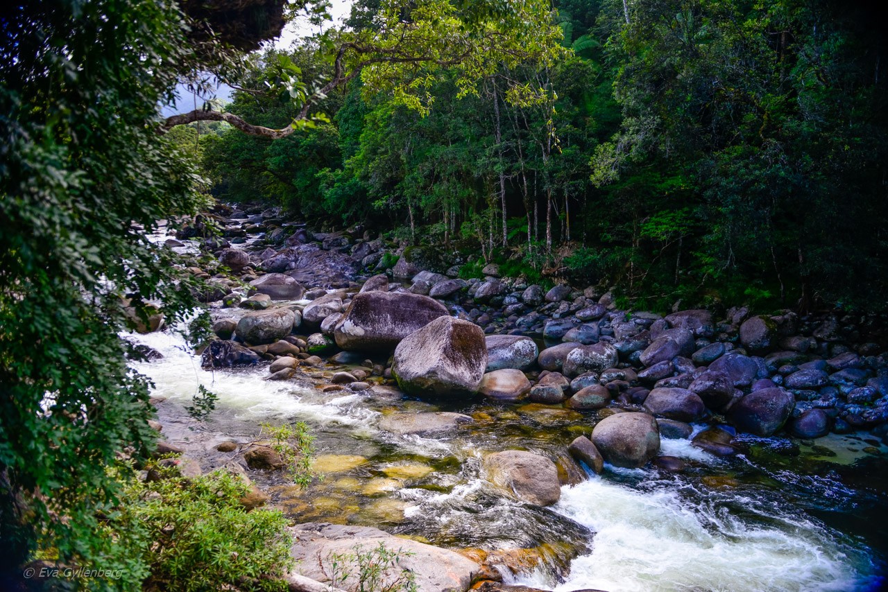 Mossman Gorge - Queensland - Australien