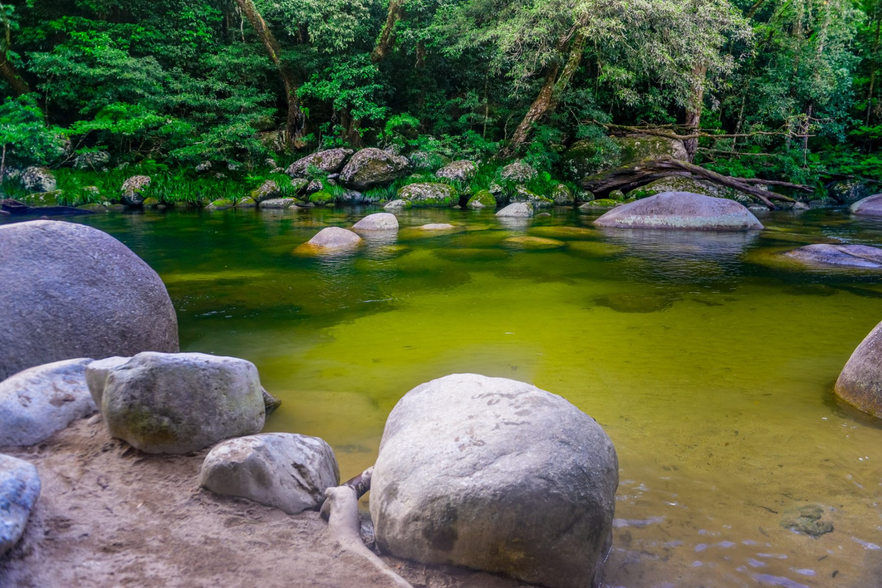 Mossman Gorge - Queensland - Australia