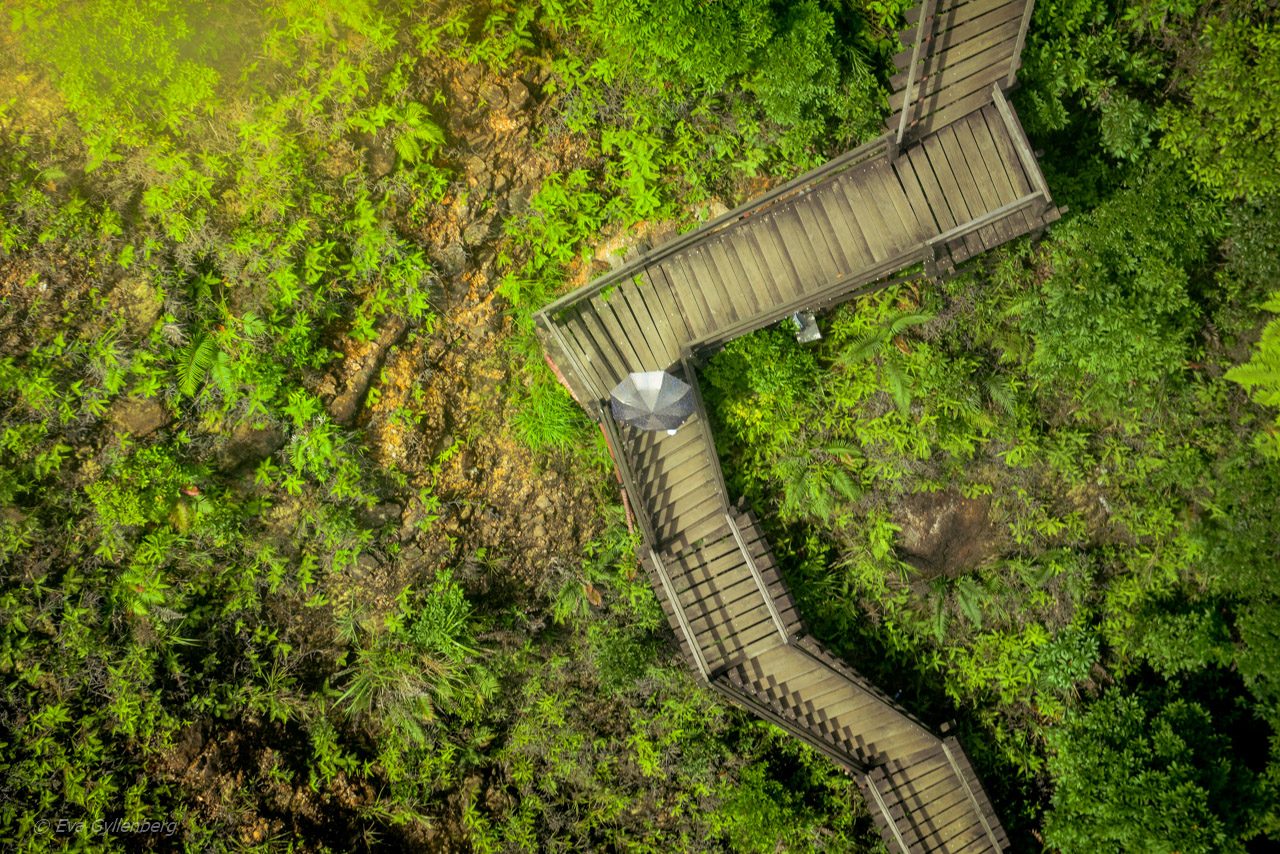 Po Lin Monastary - Hongkong
