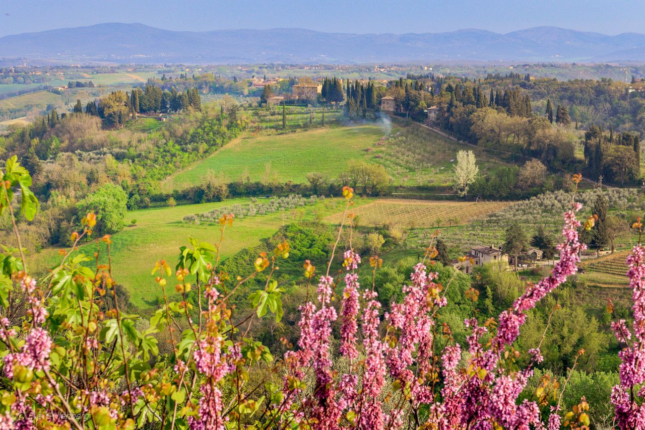 San Gimignano - Toscana - Italien