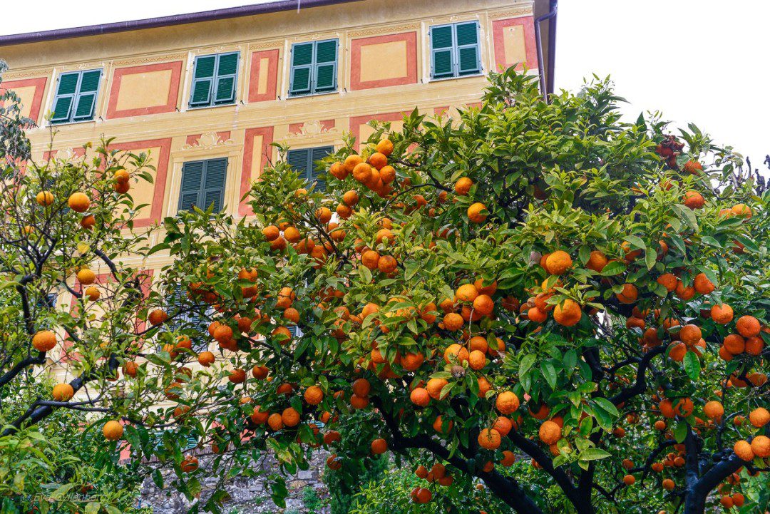 Santa Margherita - Italien
