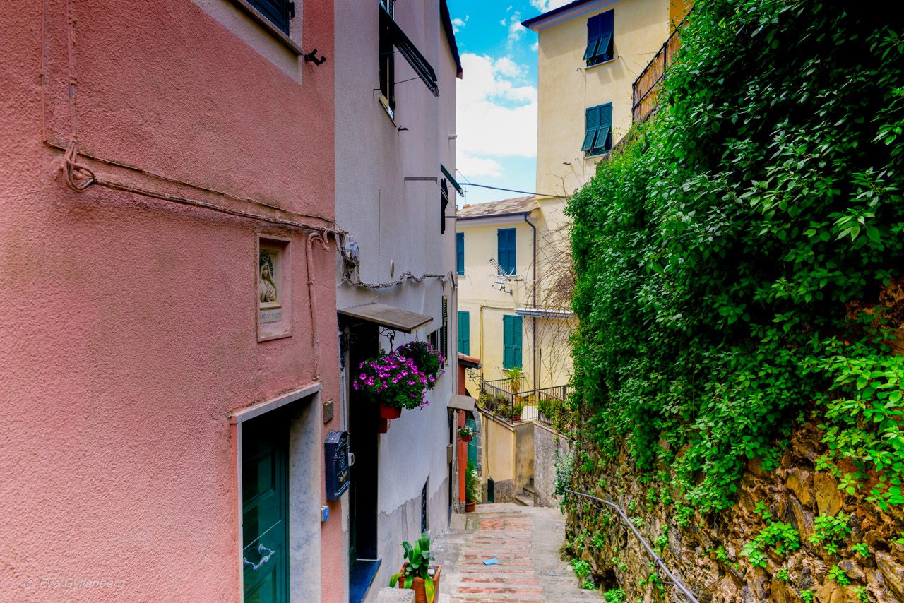 Vernazza - Cinque Terre