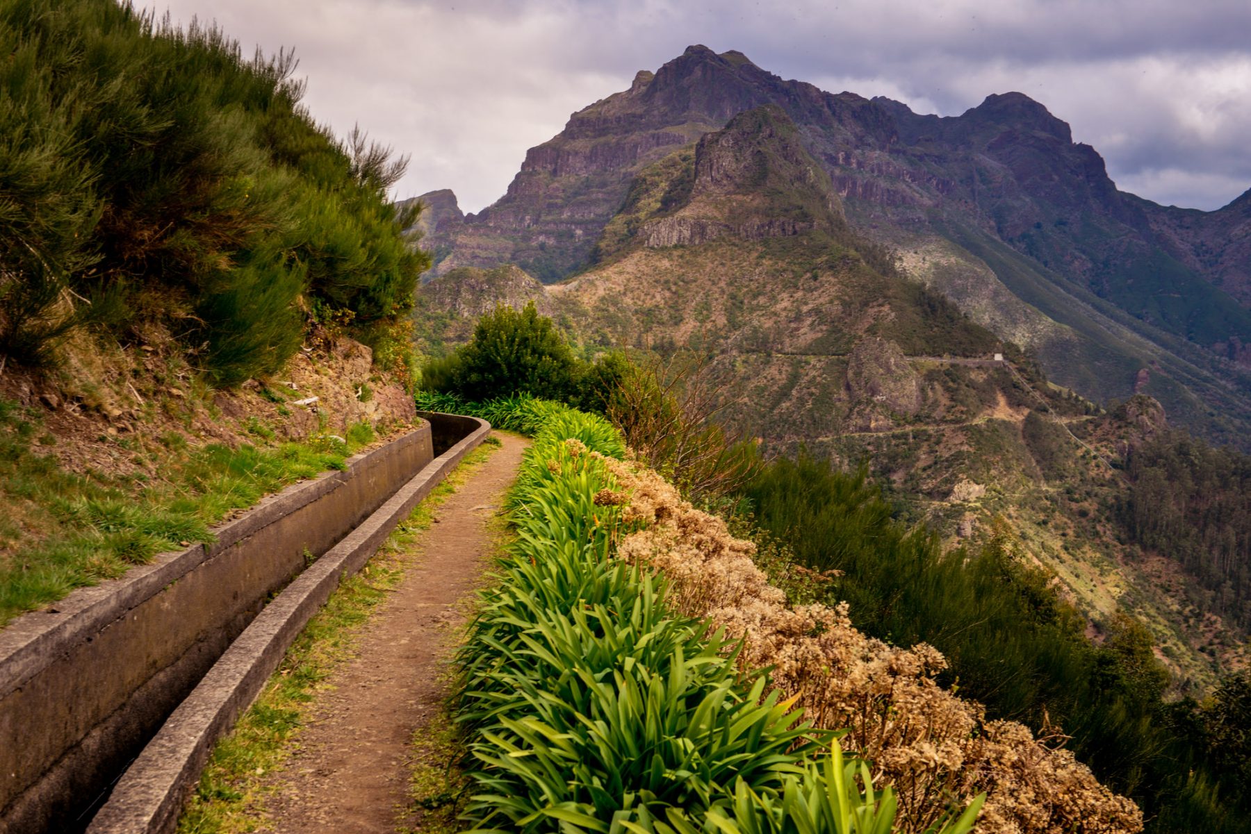 Levadavandring på Madeira