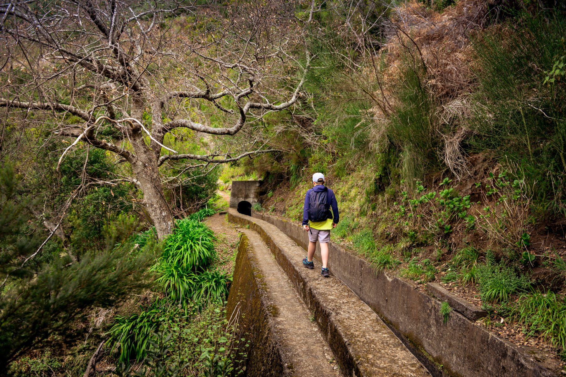 Balansgång utefter levadan - Madeira
