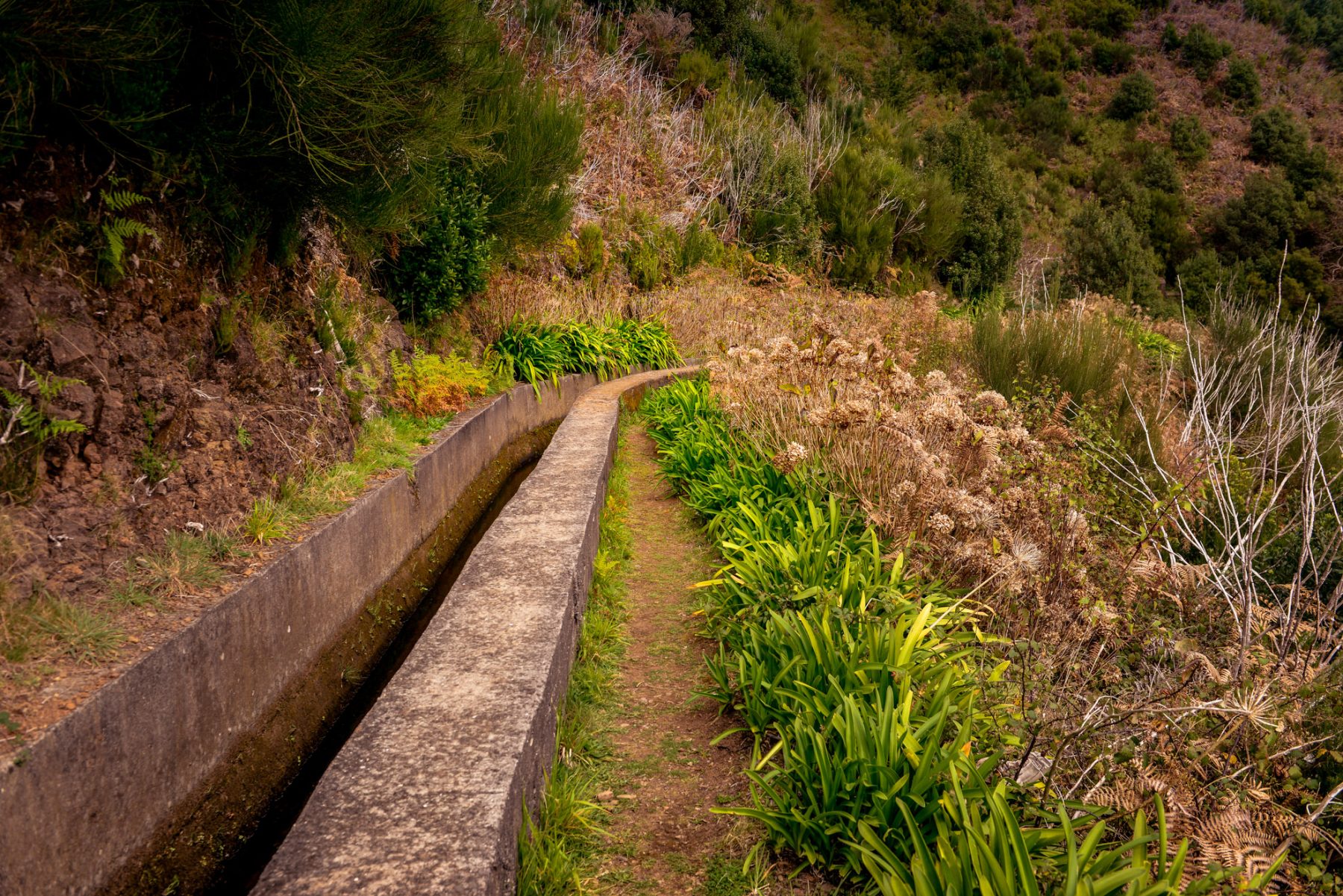 Levaa das Rabacas - Madeira
