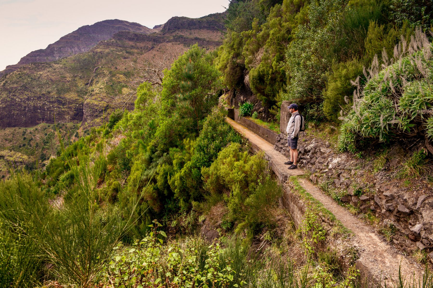 Smala stigar ibland utefter levadorna - Madeira