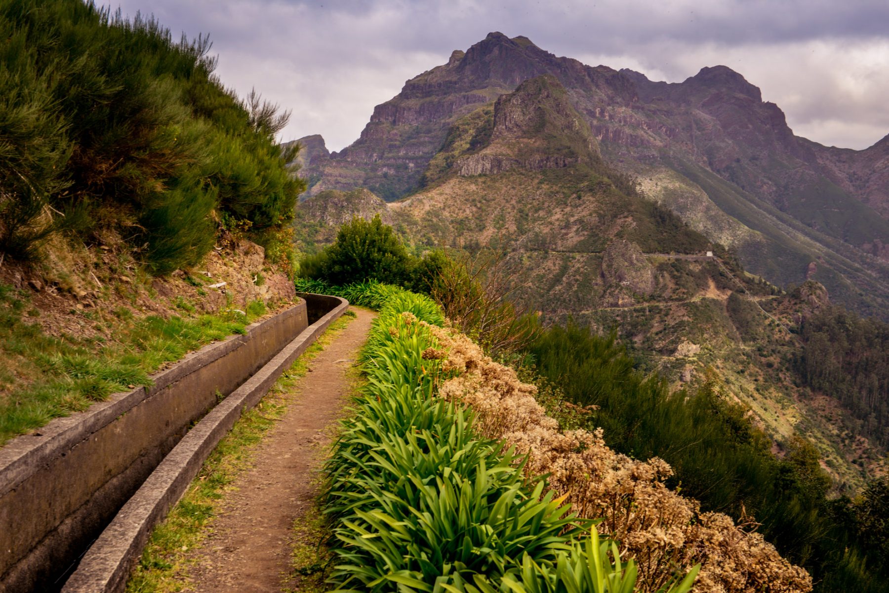 Bergen och levadorna på Madeira