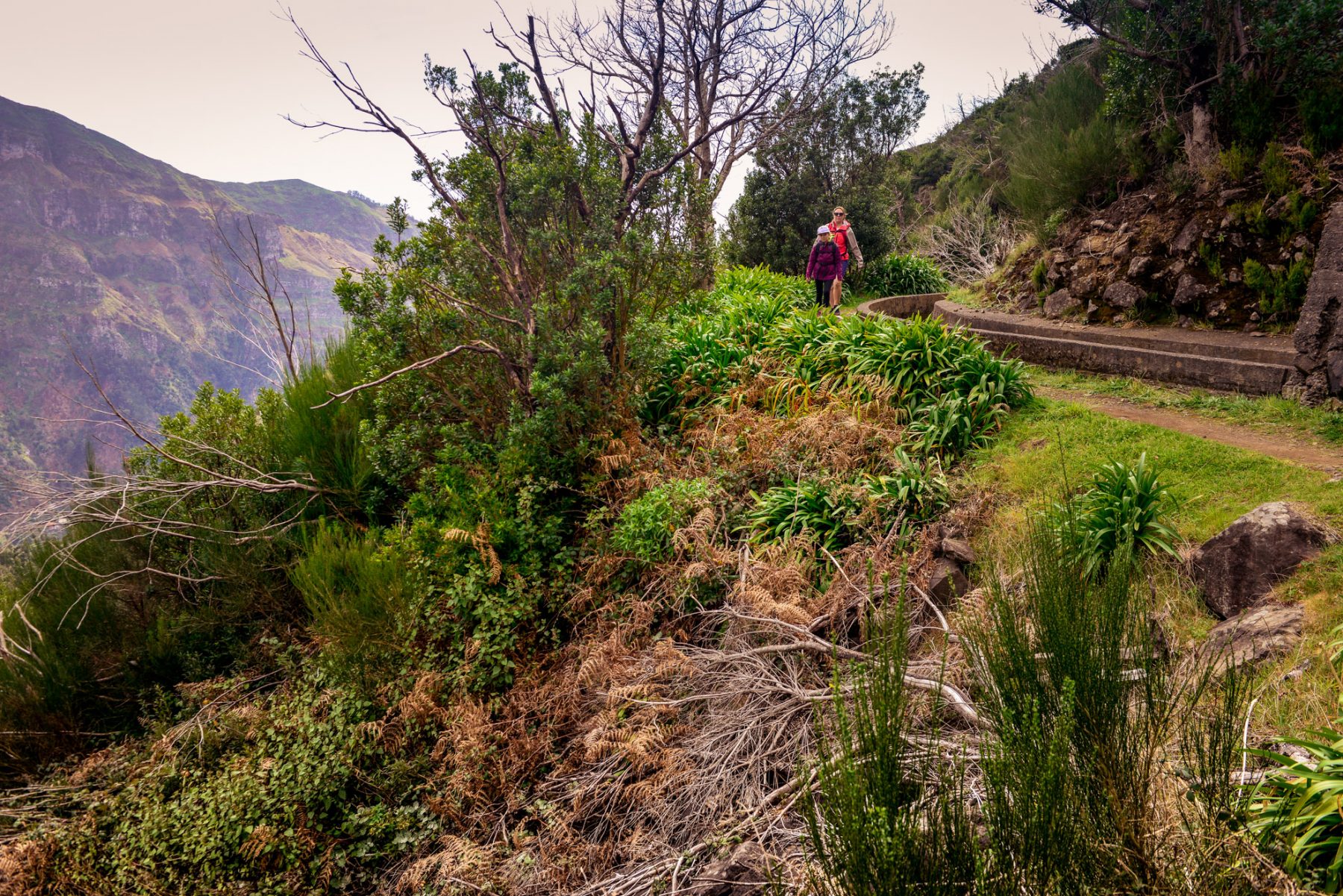 Branta sluttningar vid levadan - Madeira