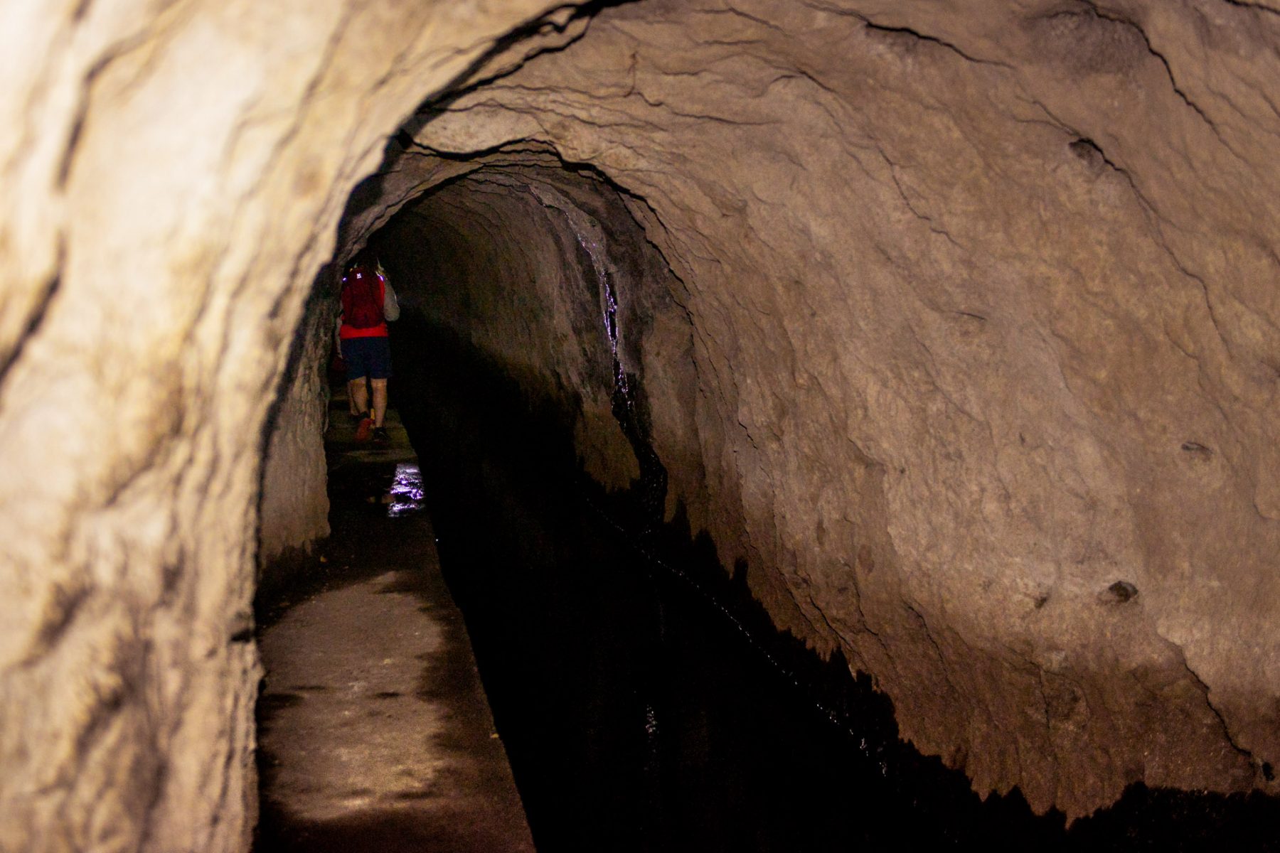 Tunnel utefter Levada de Rabacas