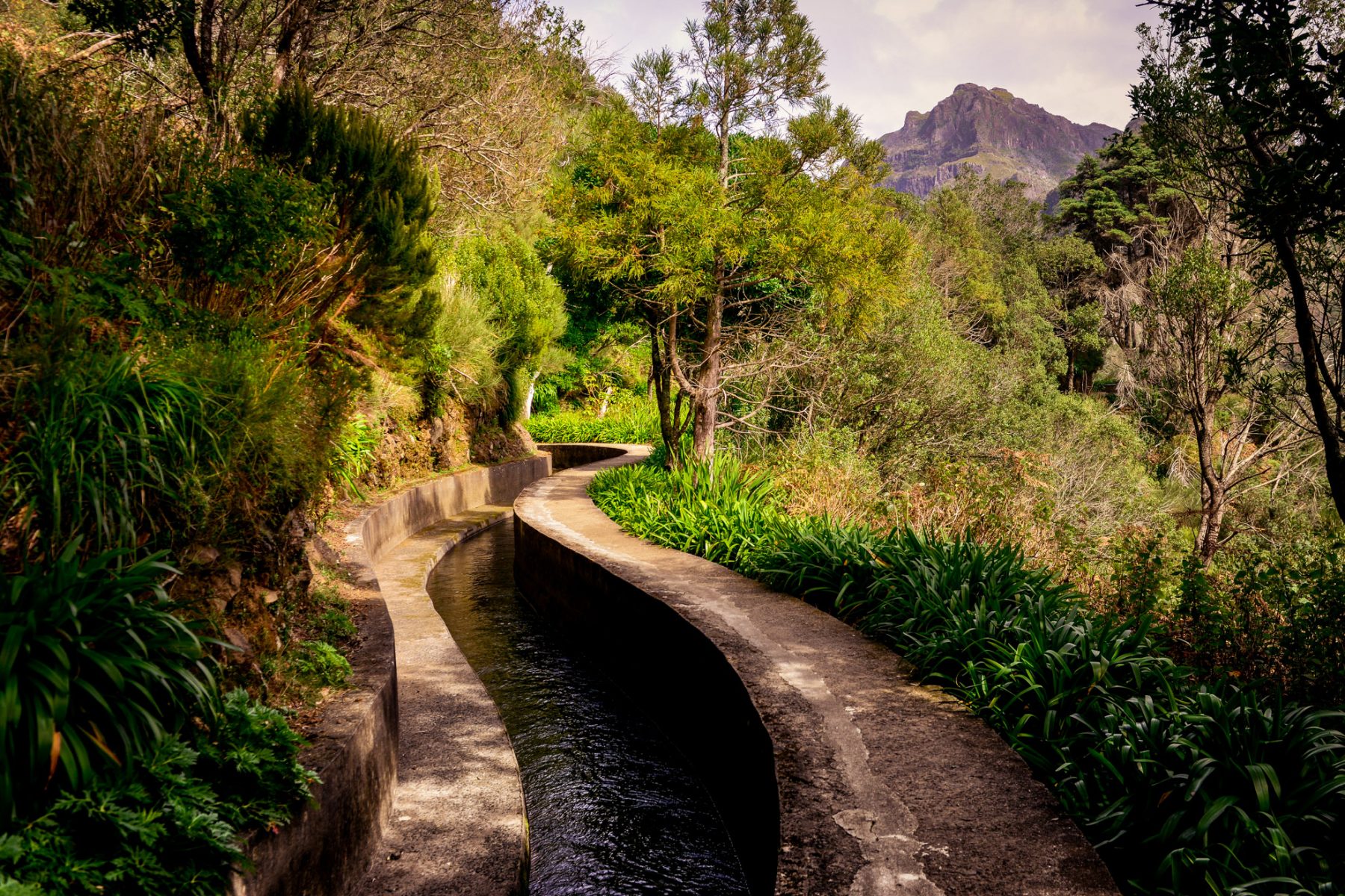 Snirklig levada - Madeira