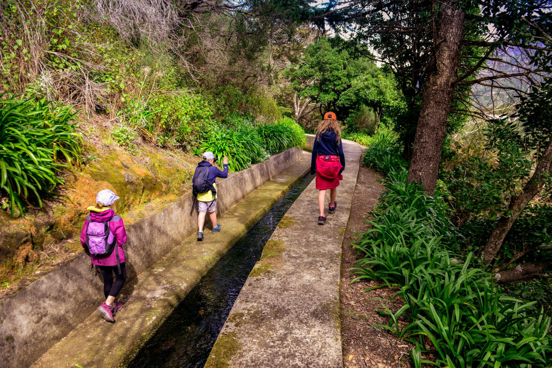 Play by the levada - Madeira