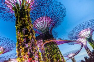 Singapore reseguide