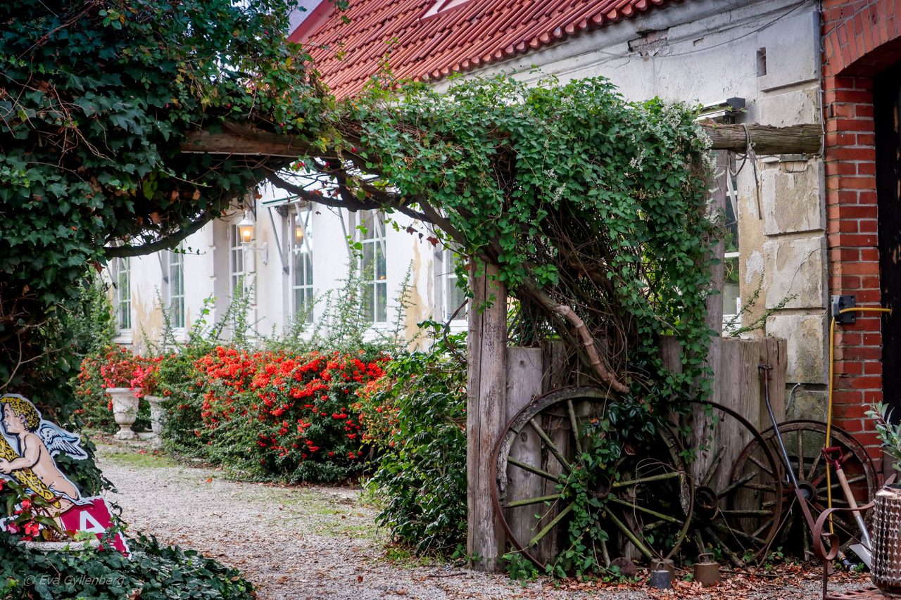 Portal av grönska vid en skånelänga