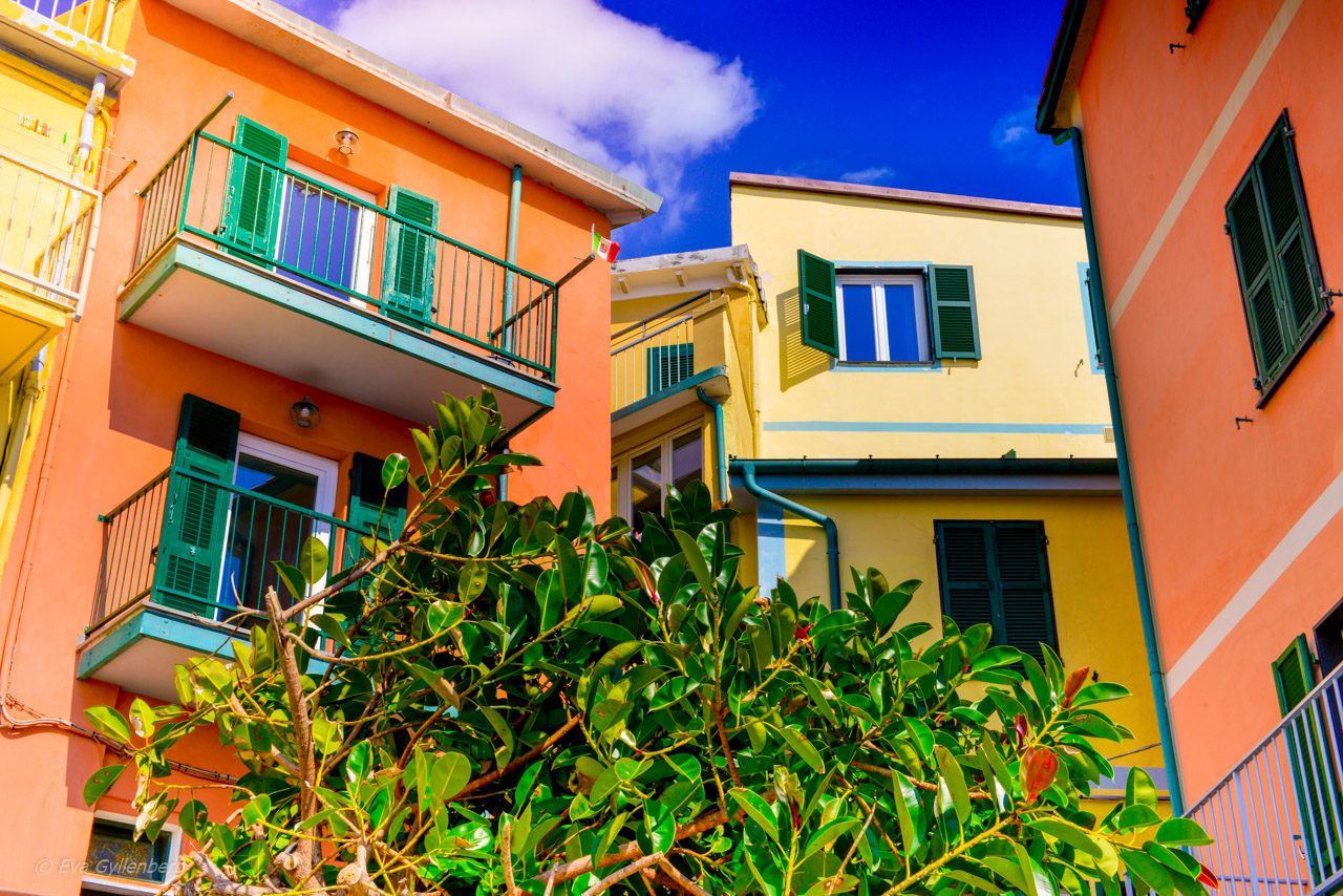 Manarola - Cinque Terre