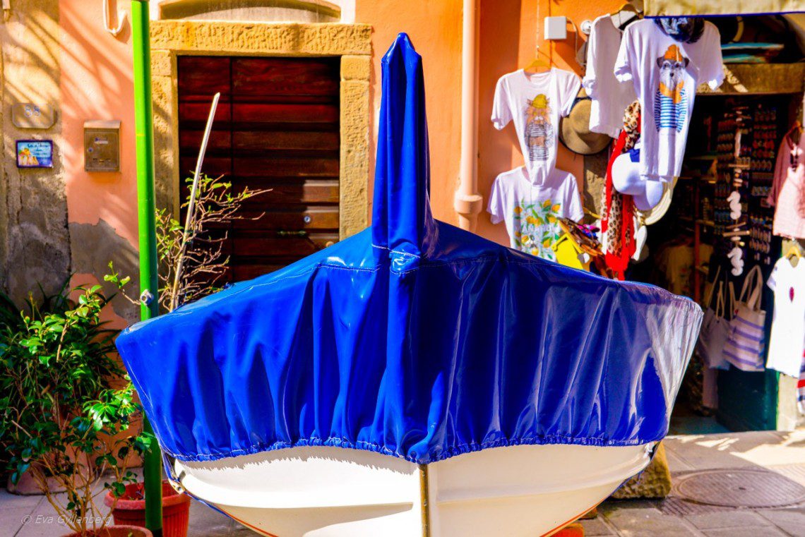 Manarola-Cinque Terre