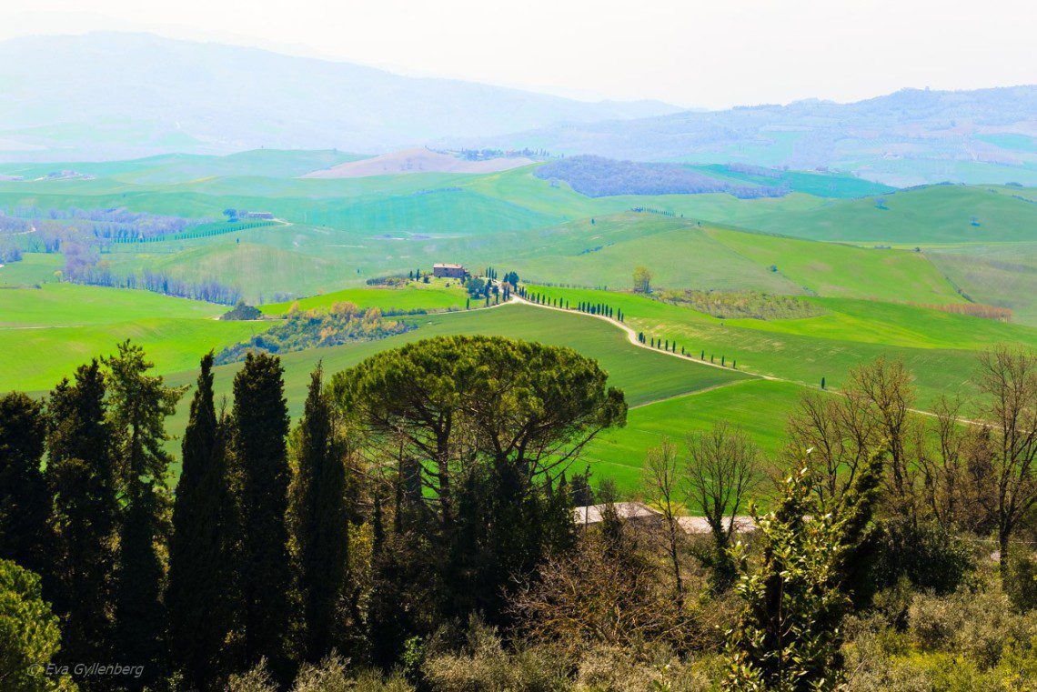 Pienza-Toscana-Italien