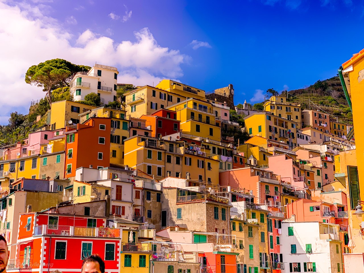 Colorful houses of Riomaggiore