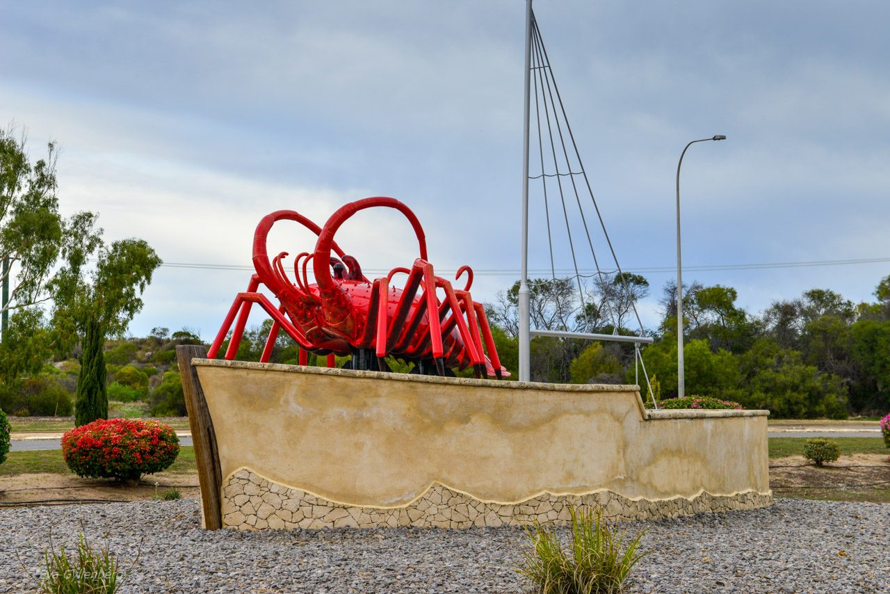 Rock Lobster