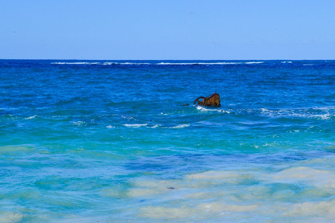 Rottnest Island - Australien - Vrak