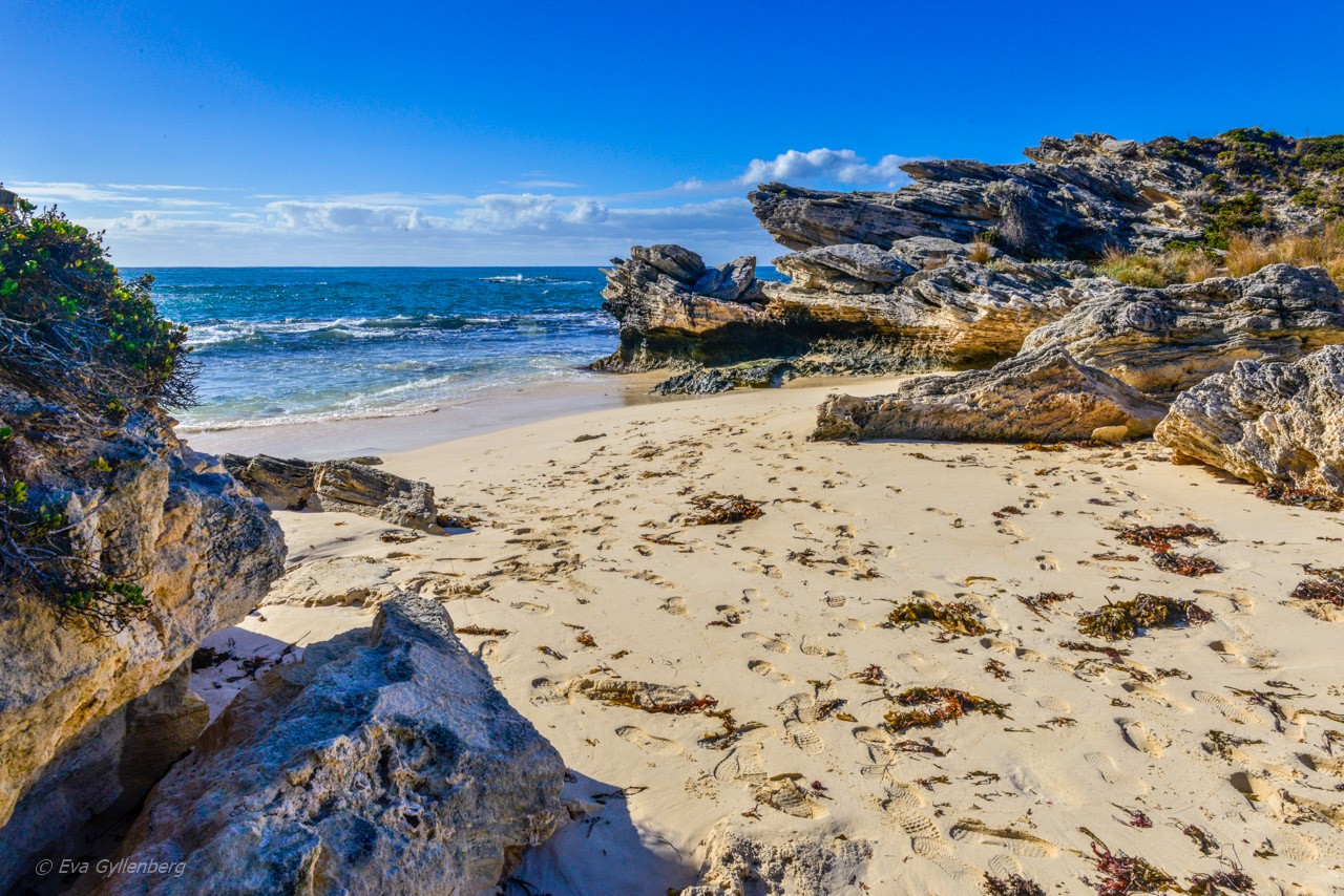 Rottnest Island - Australien - Strand