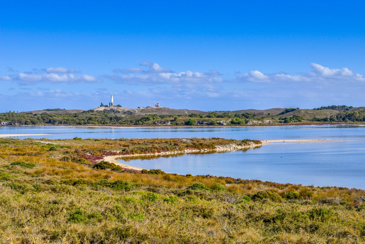 Rottnest Island - Australien - Fyr