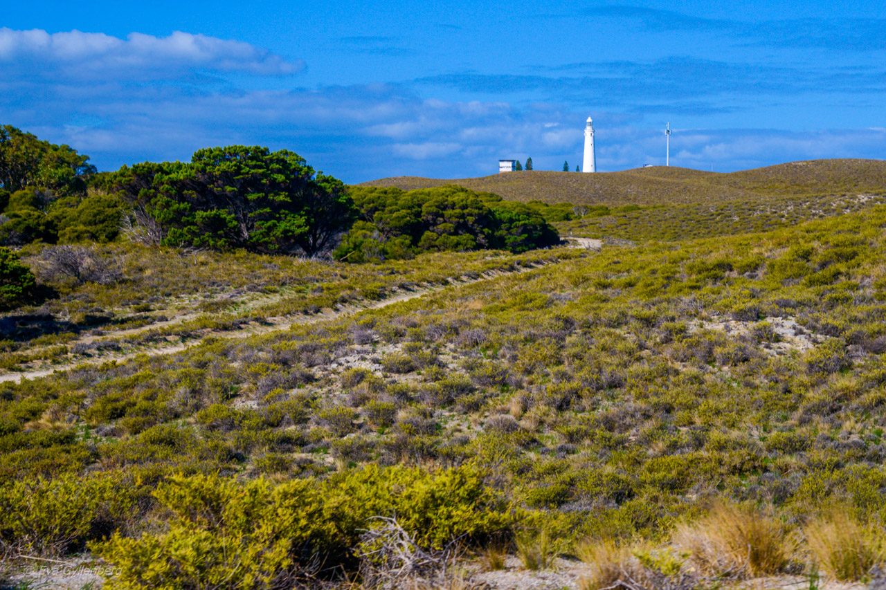 Rottnest Island - Australien - Fyr