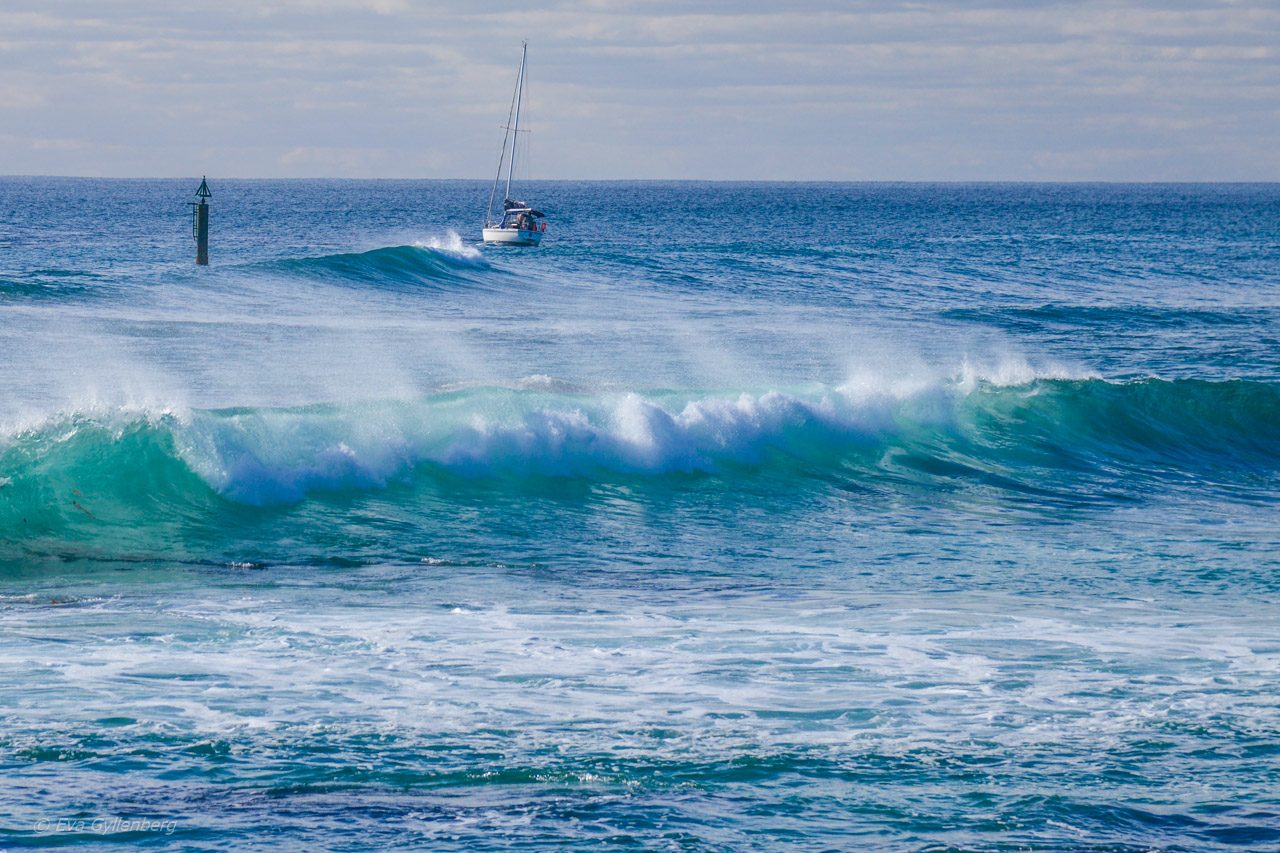 Rottnest Island - Australien - Vågor