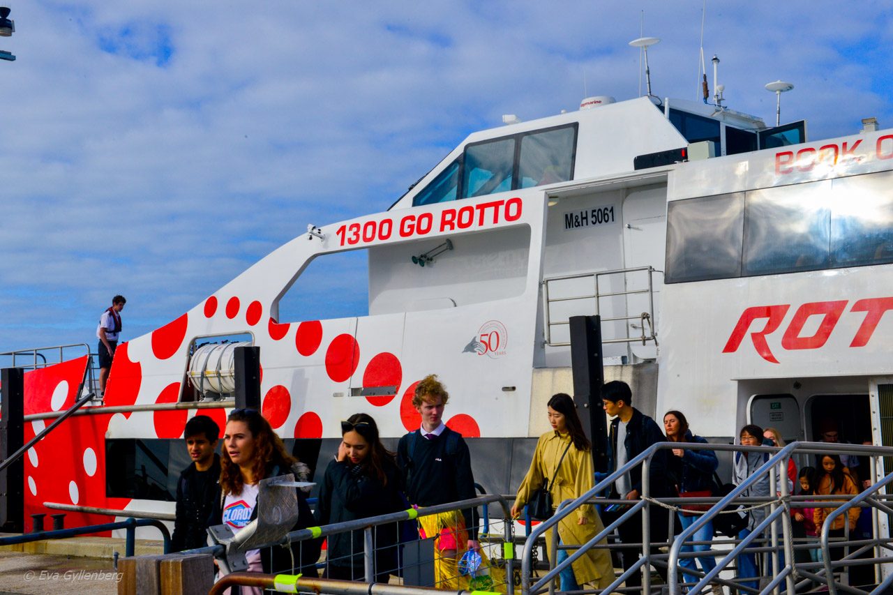 Rottnest Island - Australien - Färja