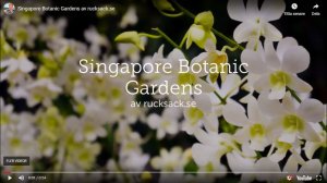 Singapore Botanic Gardens Youtube