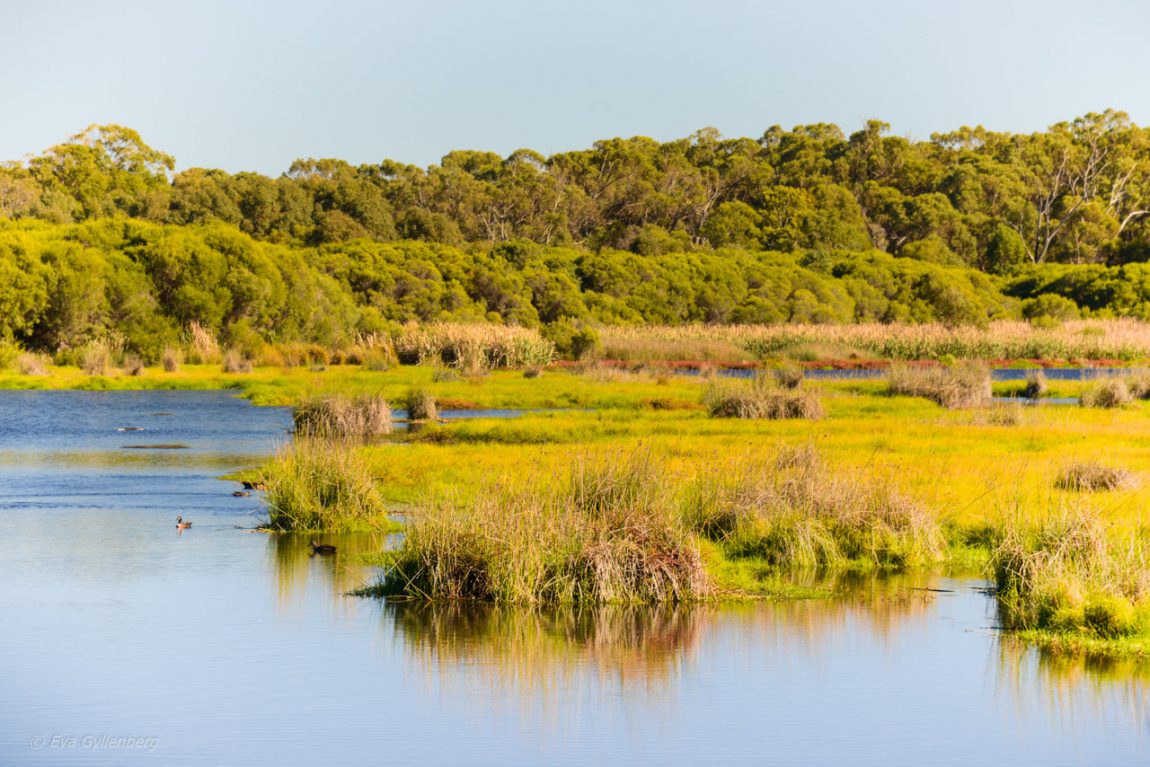 Yanchep National Park